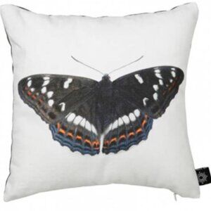 SWEDEN!  By Nord Cushion, Baby Butterfly Black Pute 10" x 10"